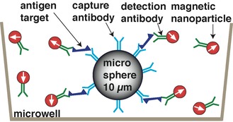 Magnetic cell assay